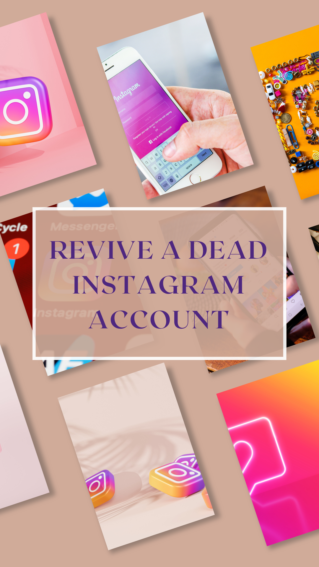 revive-a-dead-instagram-account-proleda-media